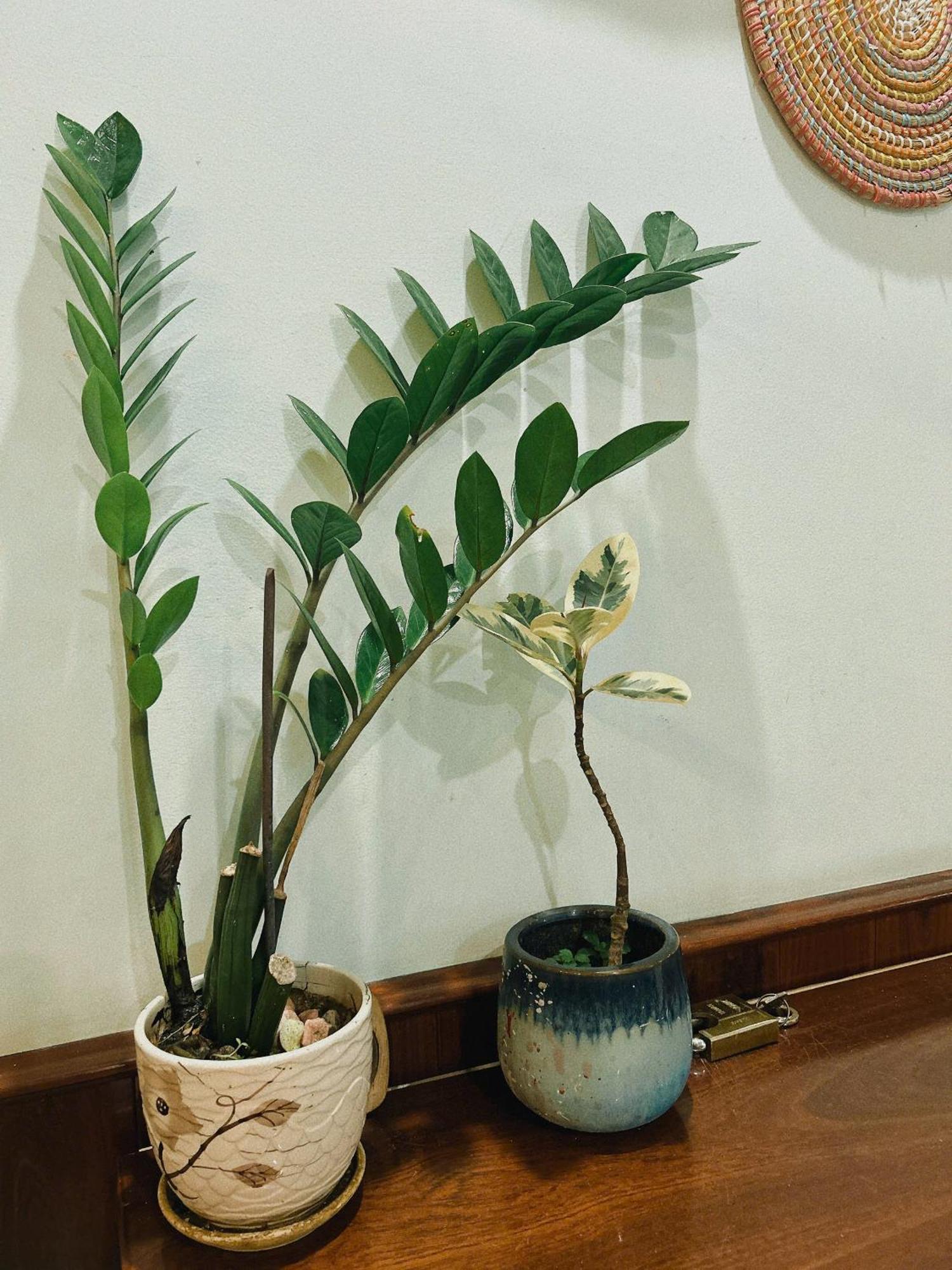 Nang Homestay Tuy Hoa Bagian luar foto